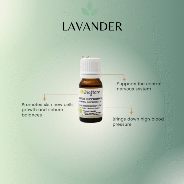 Lavender Essential Oil