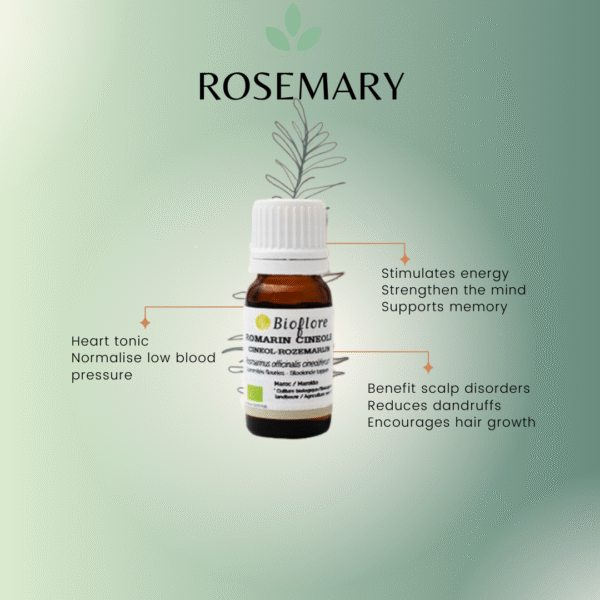 Rosemary Cineole Essential Oil
