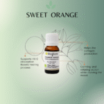 Sweet Orange Essential Oil