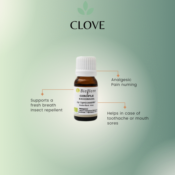 Clove Essential Oil
