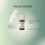 Atlas Cedar Essential Oil
