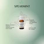 Spearmint Essential Oil