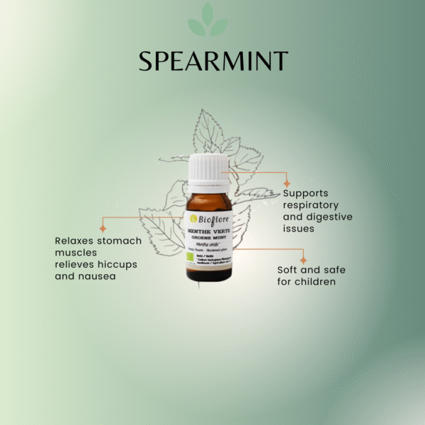 Spearmint Essential Oil