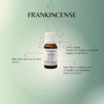 Frankincense Essential Oil