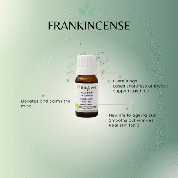 Frankincense Essential Oil