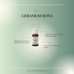Geranium Rosa Essential Oil