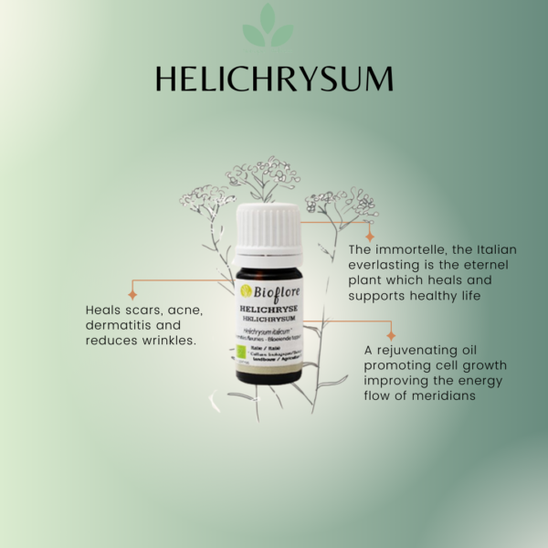 Helichrysum Essential Oil (Immortelle)