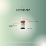 Ravintsara Essential Oil